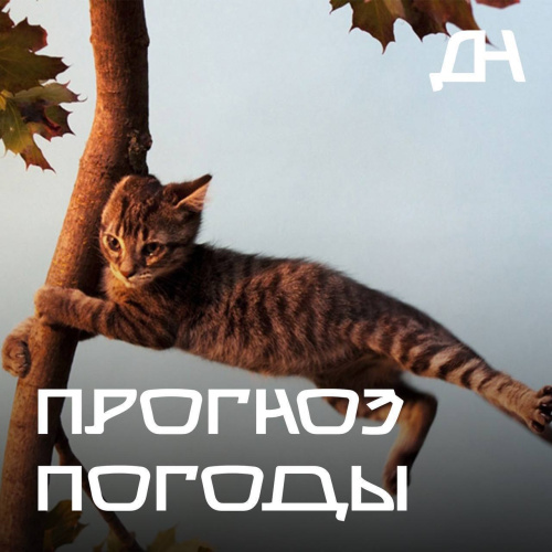 Вниманию жителей и гостей города!